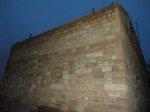 DSC02745.JPG