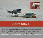 getImage (32).jpg
