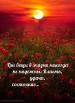 Власть.jpeg