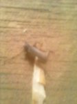 IMG_20130626_115717_0.jpg