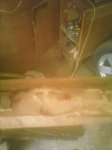 IMG_20130626_120052_0.jpg