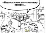 vpechatlitelnye-koty.jpg