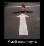 намек.jpeg