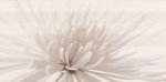 1347961382-flower centro.jpg