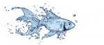 DEC FISH-2.jpg