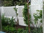 2013-05-23 06.31.10.jpg
