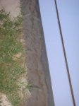 DSC00130.JPG