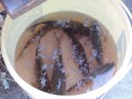 DSC01460.JPG