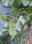 DSCF5744.JPG