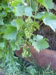 DSCF5748.JPG