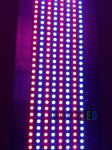 20130626_191934.800x600w.jpg