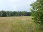 SN852274.JPG