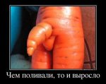 31393417_chem-polivali-to-i-vyiroslo.thumbnail.jpg