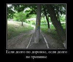 25374505_esli-dolgo-po-dorozhke-esli-dolgo-po-tropinke.thumbnail.jpg