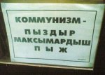 07.jpg