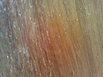 IMG_20130815_194134_0.jpg