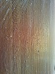 IMG_20130815_194209_0.jpg