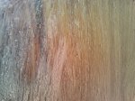 IMG_20130815_194127_0.jpg
