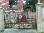 Фото0477_новый размер.jpg