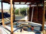 DSC06556.jpg