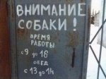 z2.jpg