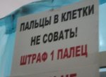в5.jpg
