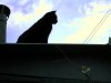 PIC_0020.jpg