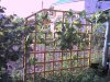 PIC_0068.jpg