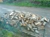 DSC00427.jpg