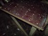 DSC00437.jpg