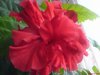 DSC00639_thumb.jpg