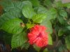 DSC00643_thumb.jpg