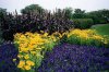 flowerbed05.jpg