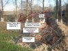 2010-05-20_103314.JPG