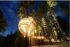 yellow_tree_house3.jpg