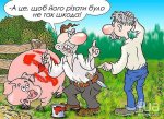 getImage (35).jpg
