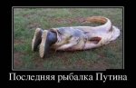1378704520_002.jpg