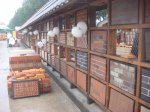 DSC00488.JPG