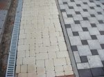DSC00481.JPG