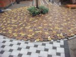 DSC00482.JPG