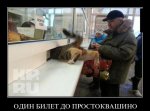 ж01.jpg