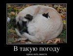 ж05.jpg