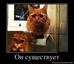 ж06.jpg