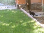 DSCN4298.jpg