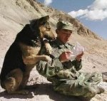 ж19.jpg