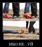 д35.jpg