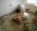 загруженное (11).jpg