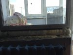 IMG_0204.JPG