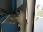 IMG_0207.JPG