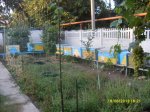 SDC17365.jpg